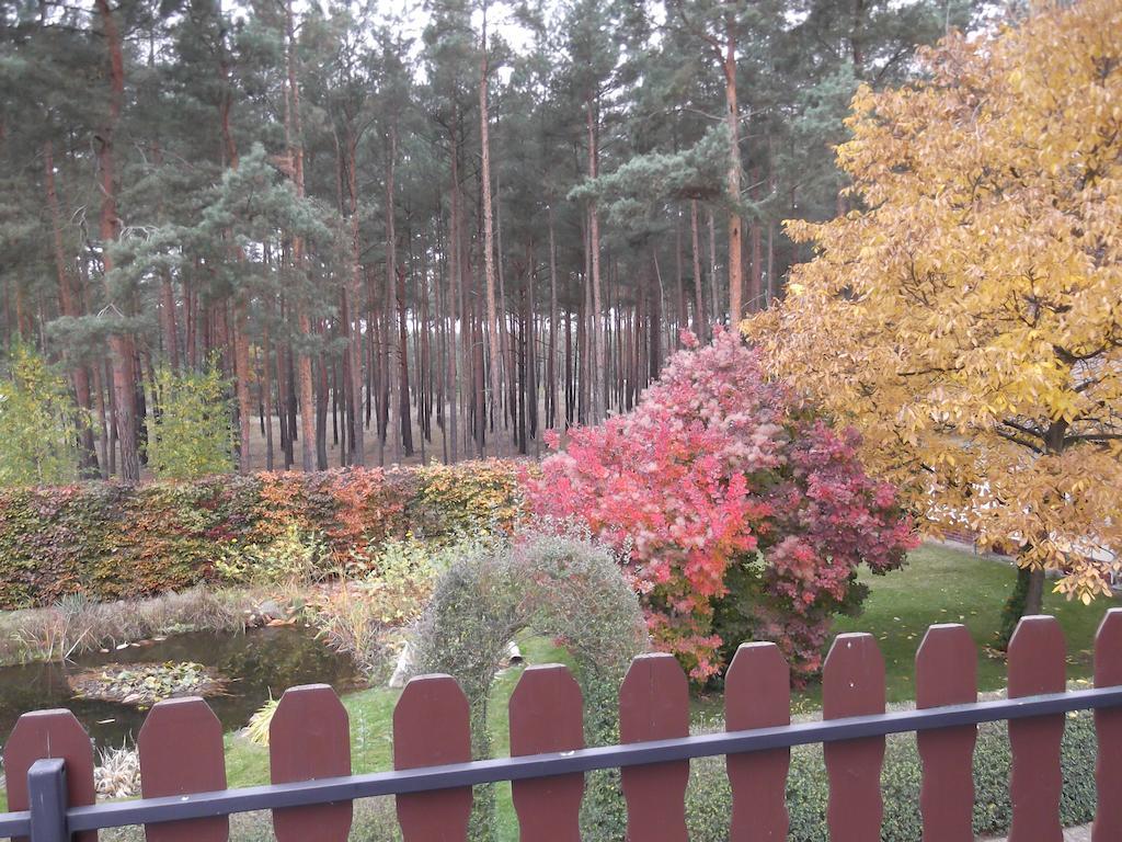 Amselgarten Люббен Экстерьер фото