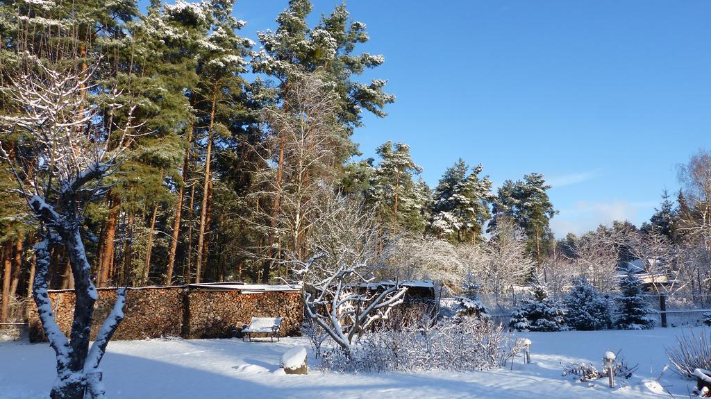 Amselgarten Люббен Экстерьер фото